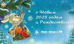 С Новым 2025 годом и Рождеством!